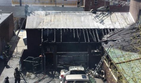Local Animal Shelter Asking for Help to Rebuild Kennels After Fire
