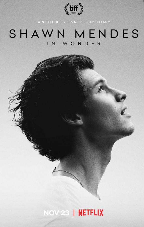 Shawn Mendes in Wonder: Documentary Review